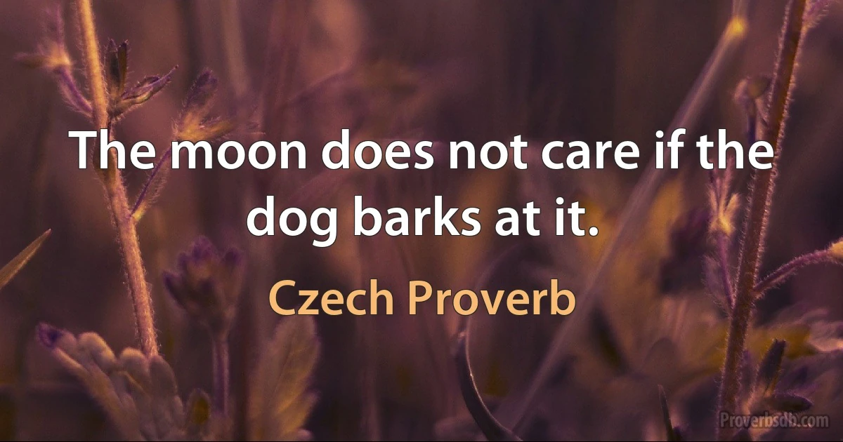 The moon does not care if the dog barks at it. (Czech Proverb)