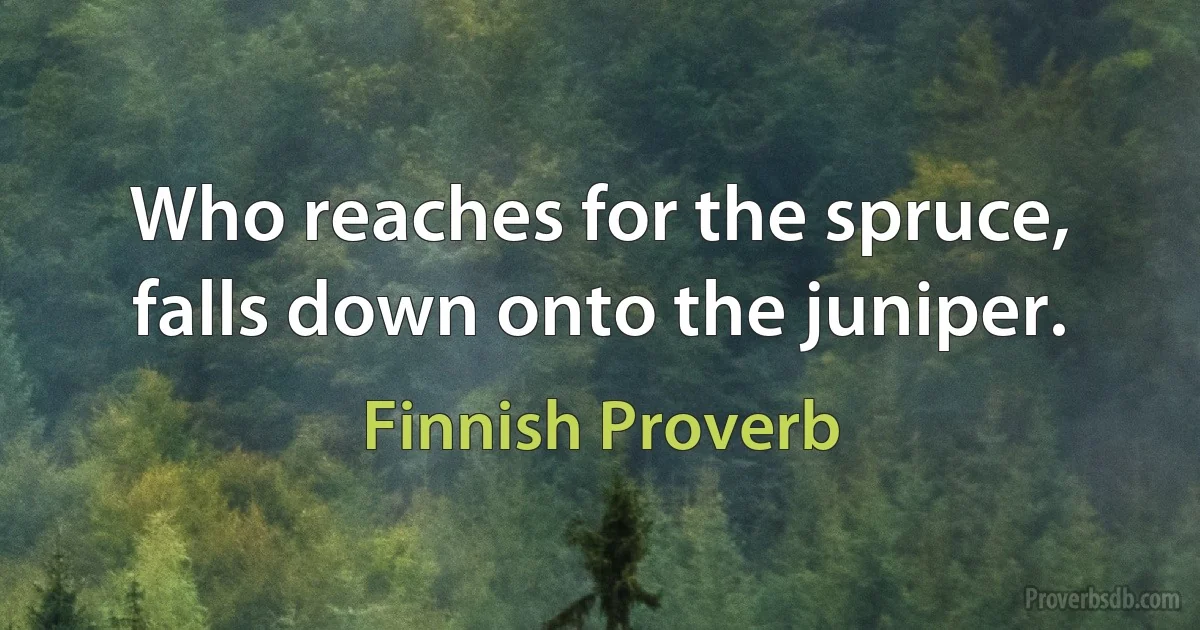 Who reaches for the spruce, falls down onto the juniper. (Finnish Proverb)