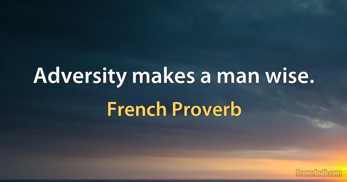 Adversity makes a man wise. (French Proverb)