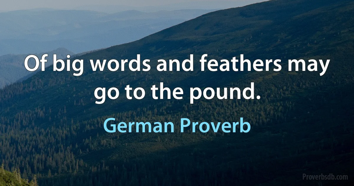 Of big words and feathers may go to the pound. (German Proverb)