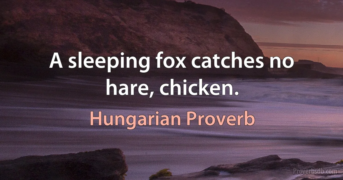 A sleeping fox catches no hare, chicken. (Hungarian Proverb)