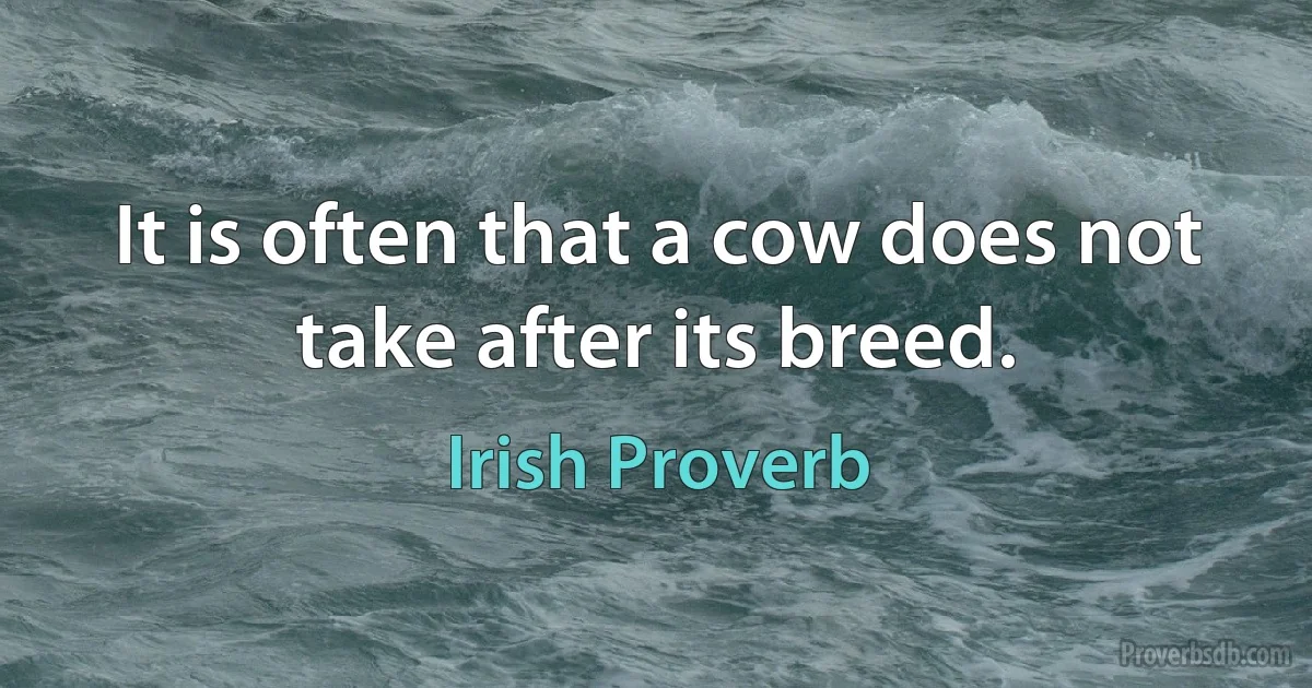 It is often that a cow does not take after its breed. (Irish Proverb)