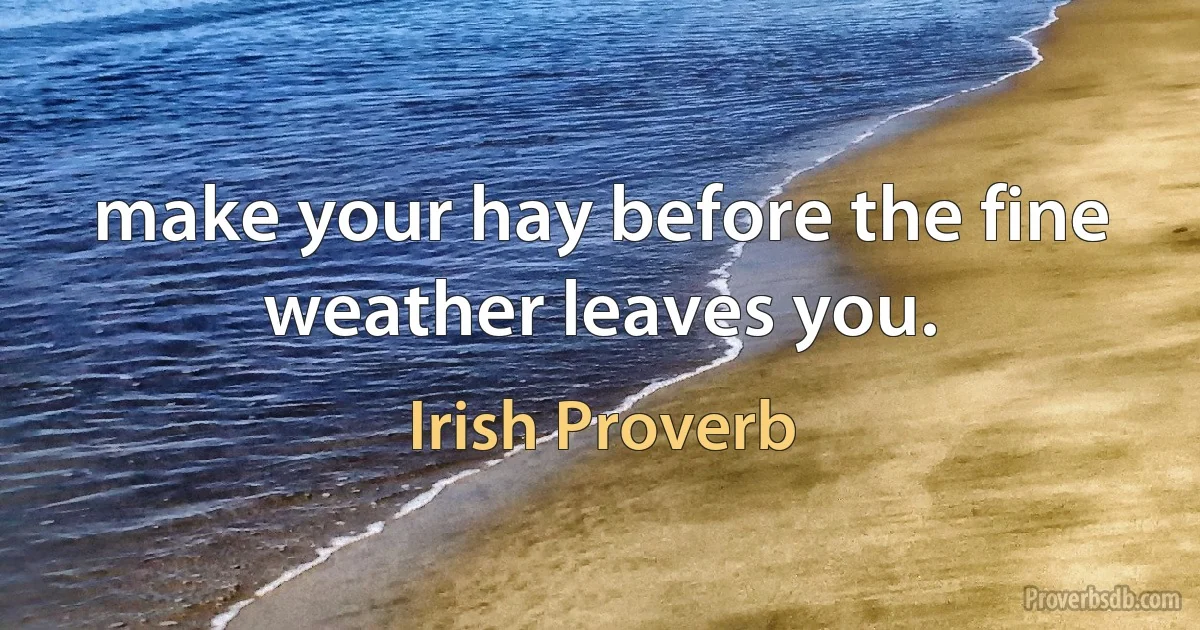 make your hay before the fine weather leaves you. (Irish Proverb)