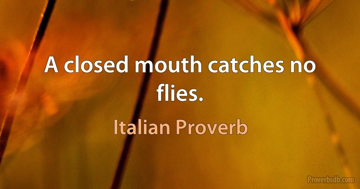 A closed mouth catches no flies. (Italian Proverb)