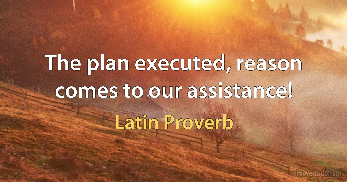 The plan executed, reason comes to our assistance! (Latin Proverb)