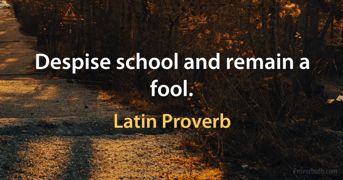 Despise school and remain a fool. (Latin Proverb)