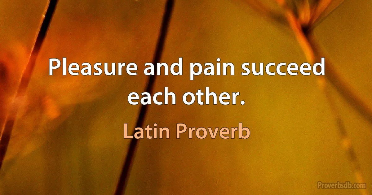 Pleasure and pain succeed each other. (Latin Proverb)