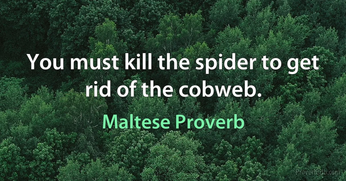 You must kill the spider to get rid of the cobweb. (Maltese Proverb)