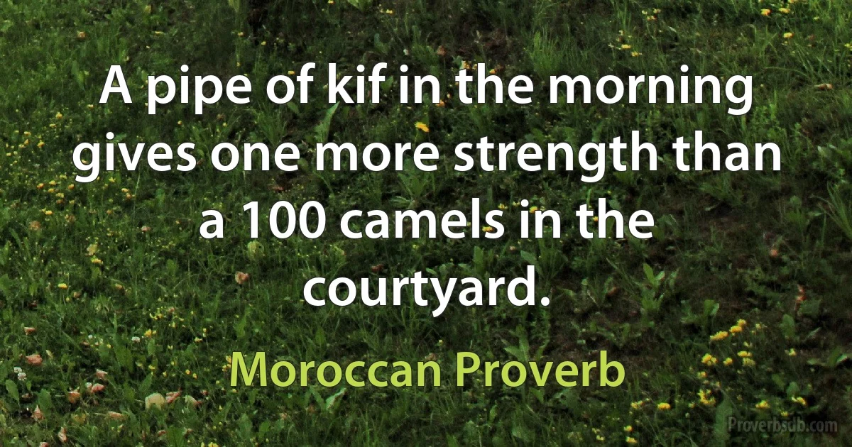 A pipe of kif in the morning gives one more strength than a 100 camels in the courtyard. (Moroccan Proverb)