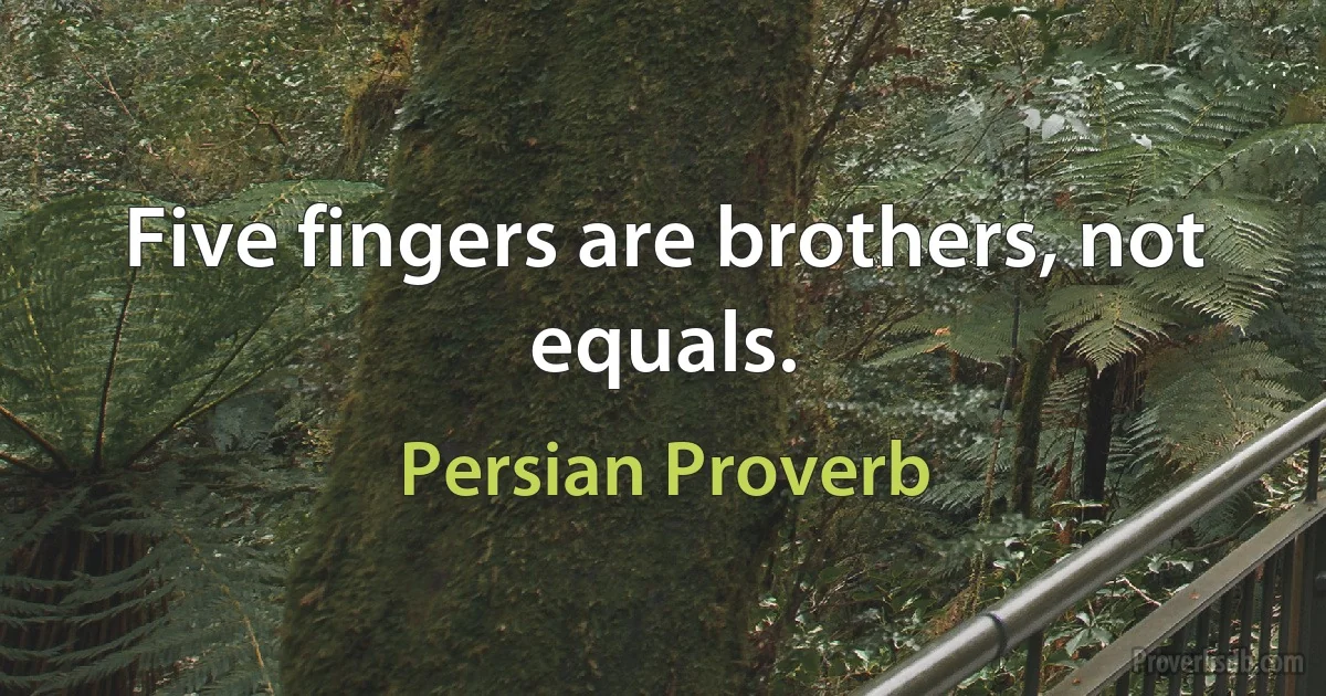 Five fingers are brothers, not equals. (Persian Proverb)