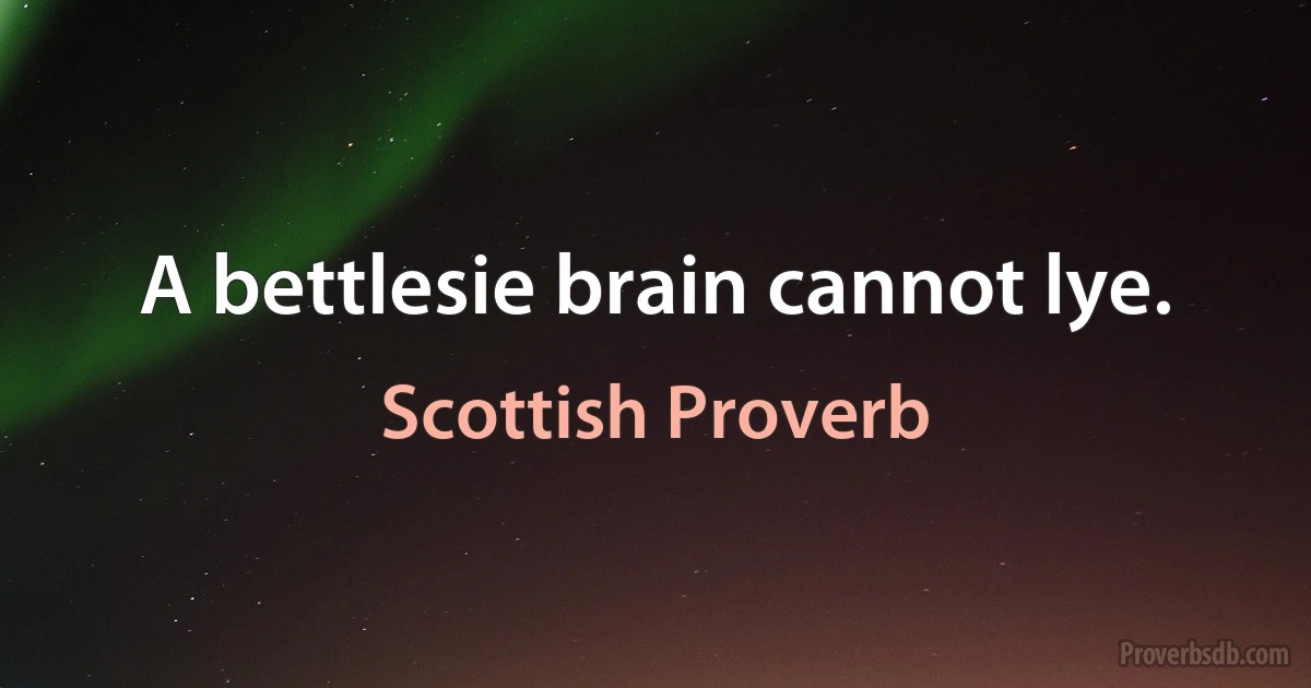 A bettlesie brain cannot lye. (Scottish Proverb)