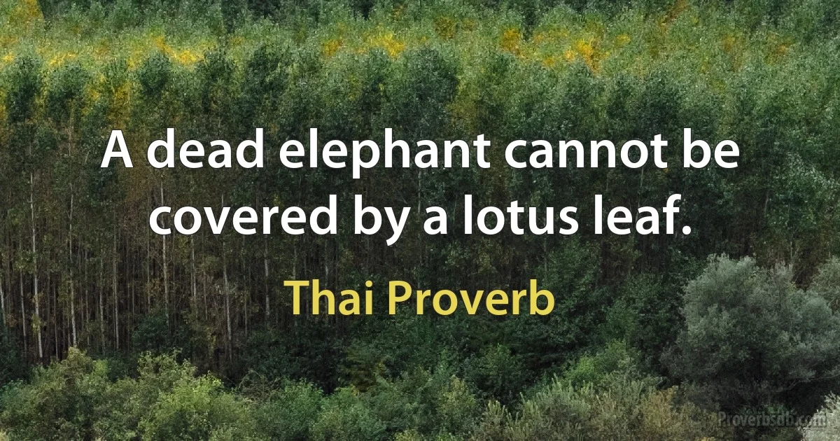 A dead elephant cannot be covered by a lotus leaf. (Thai Proverb)