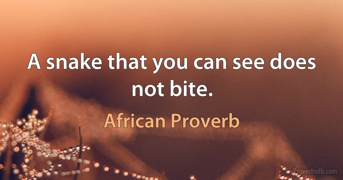 A snake that you can see does not bite. (African Proverb)