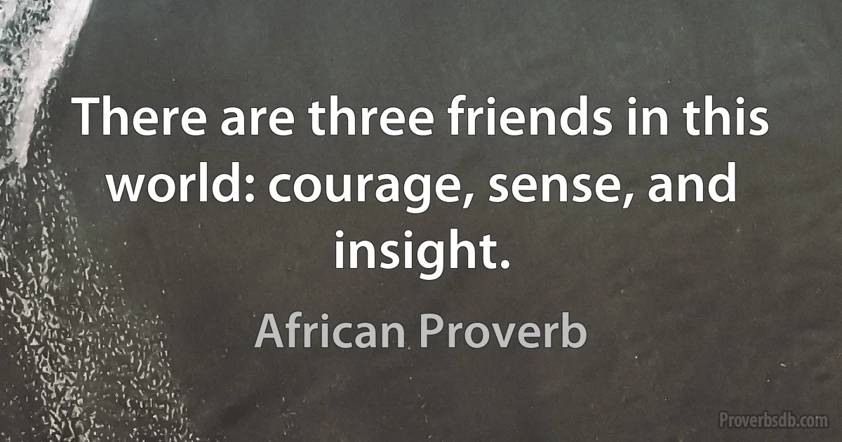 There are three friends in this world: courage, sense, and insight. (African Proverb)