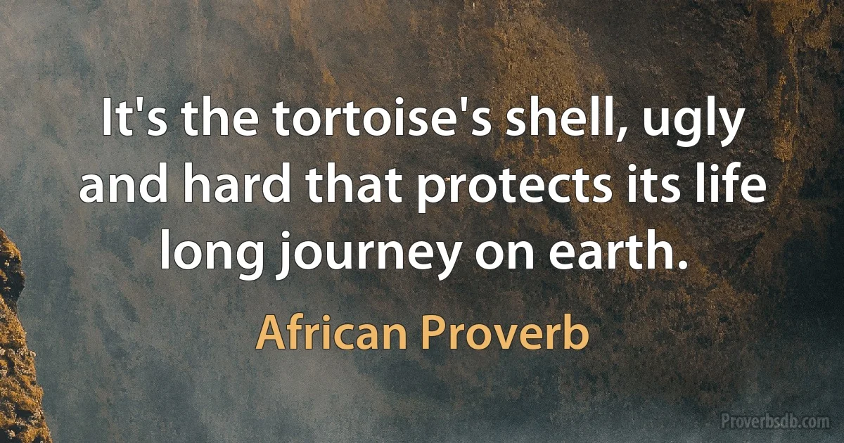 It's the tortoise's shell, ugly and hard that protects its life long journey on earth. (African Proverb)