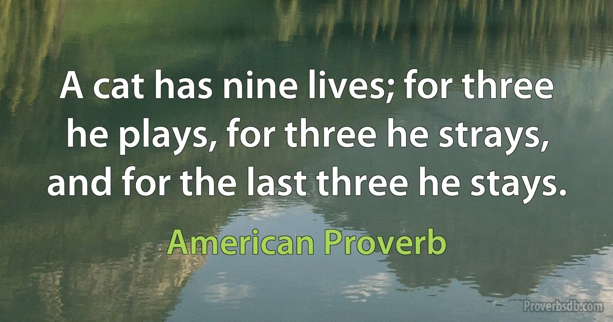 A cat has nine lives; for three he plays, for three he strays, and for the last three he stays. (American Proverb)