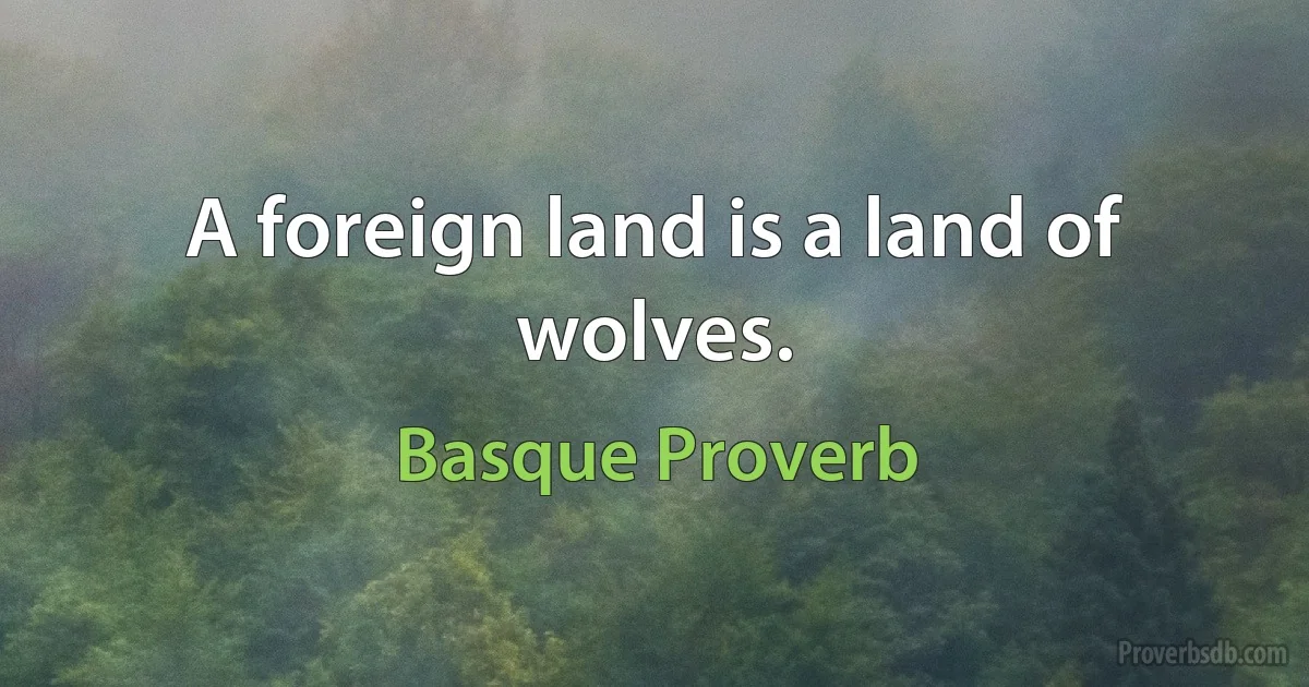 A foreign land is a land of wolves. (Basque Proverb)