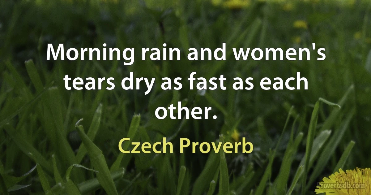 Morning rain and women's tears dry as fast as each other. (Czech Proverb)