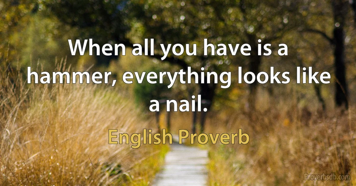 When all you have is a hammer, everything looks like a nail. (English Proverb)