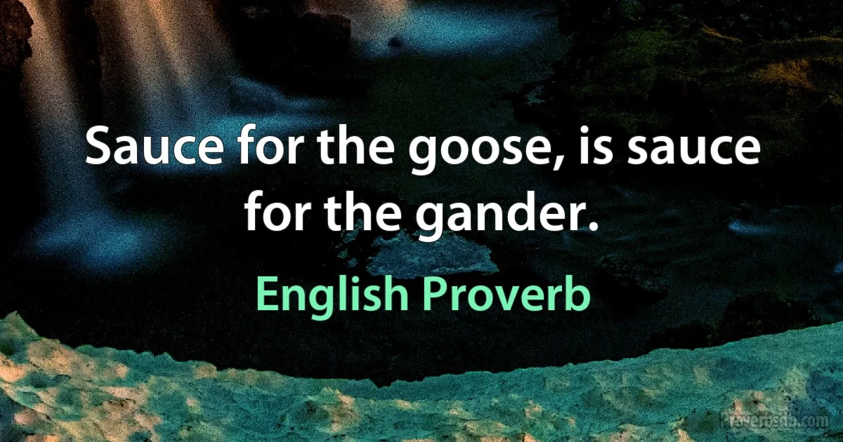 Sauce for the goose, is sauce for the gander. (English Proverb)