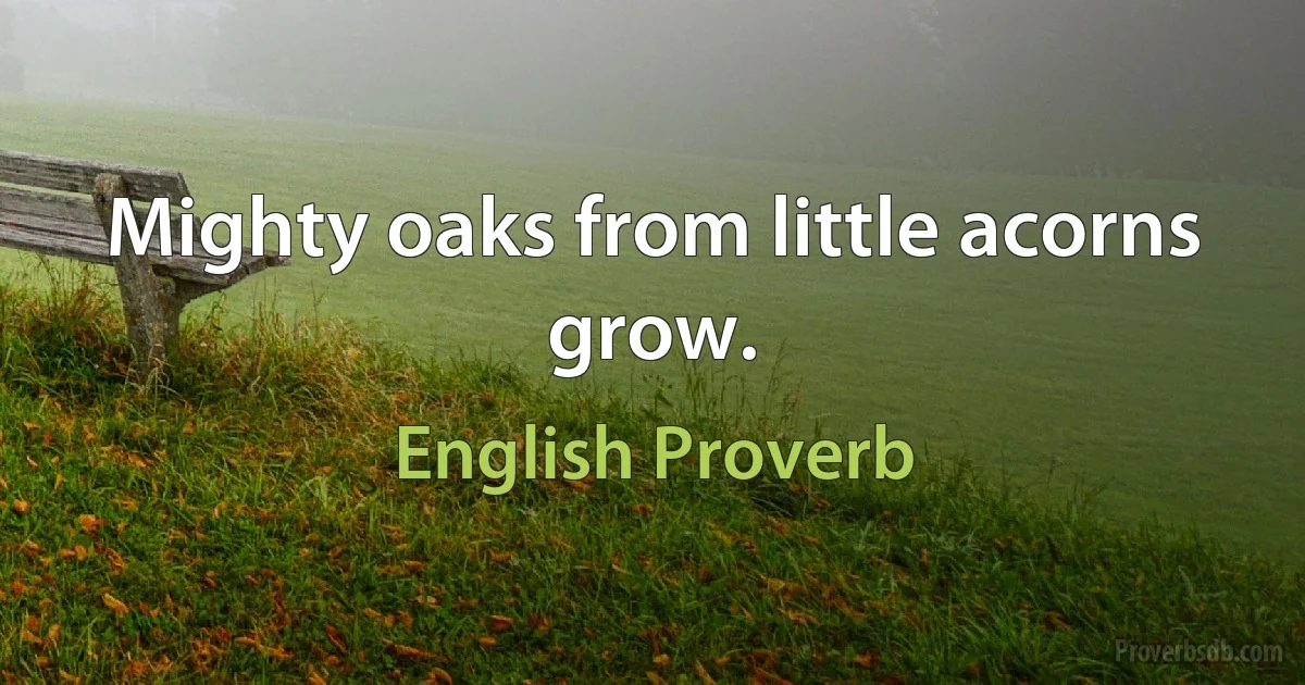 Mighty oaks from little acorns grow. (English Proverb)