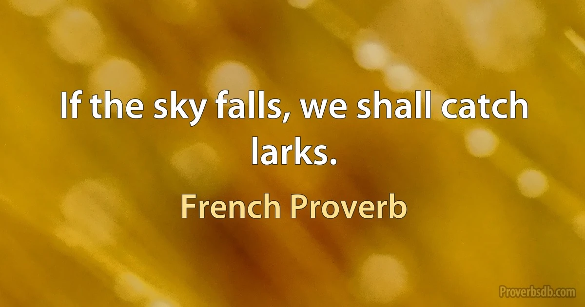 If the sky falls, we shall catch larks. (French Proverb)