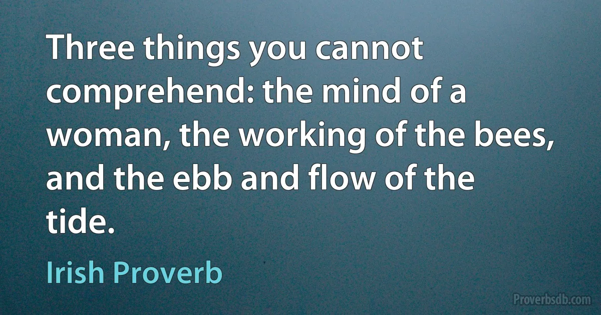 Three things you cannot comprehend: the mind of a woman, the working of the bees, and the ebb and flow of the tide. (Irish Proverb)