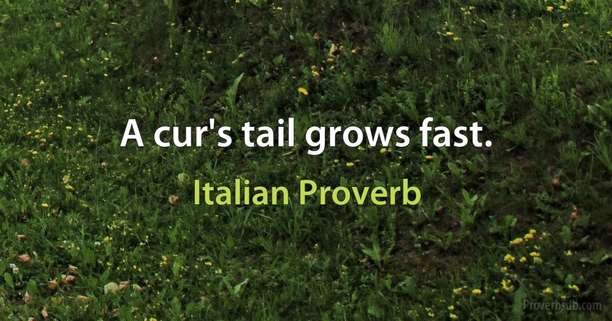 A cur's tail grows fast. (Italian Proverb)