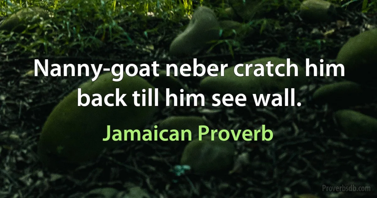 Nanny-goat neber cratch him back till him see wall. (Jamaican Proverb)