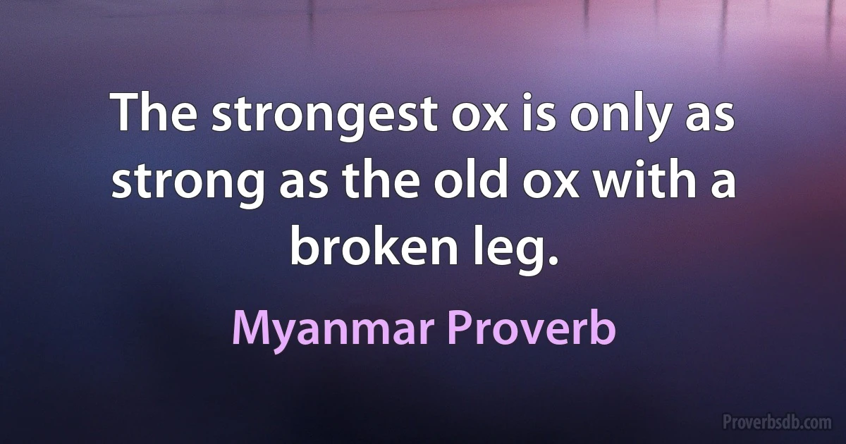 The strongest ox is only as strong as the old ox with a broken leg. (Myanmar Proverb)