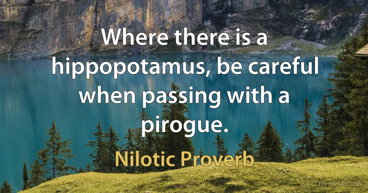 Where there is a hippopotamus, be careful when passing with a pirogue. (Nilotic Proverb)