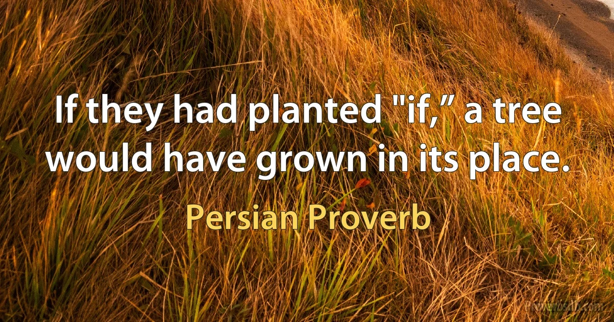 If they had planted "if,” a tree would have grown in its place. (Persian Proverb)