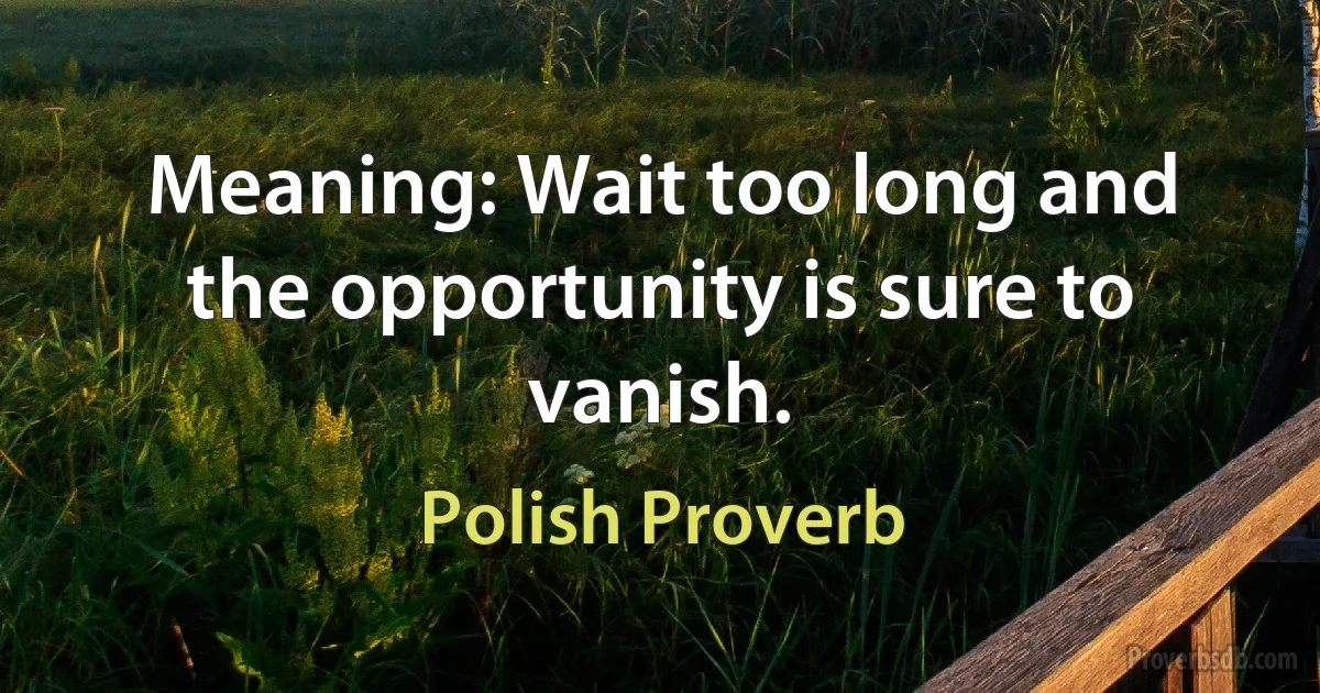 Meaning: Wait too long and the opportunity is sure to vanish. (Polish Proverb)