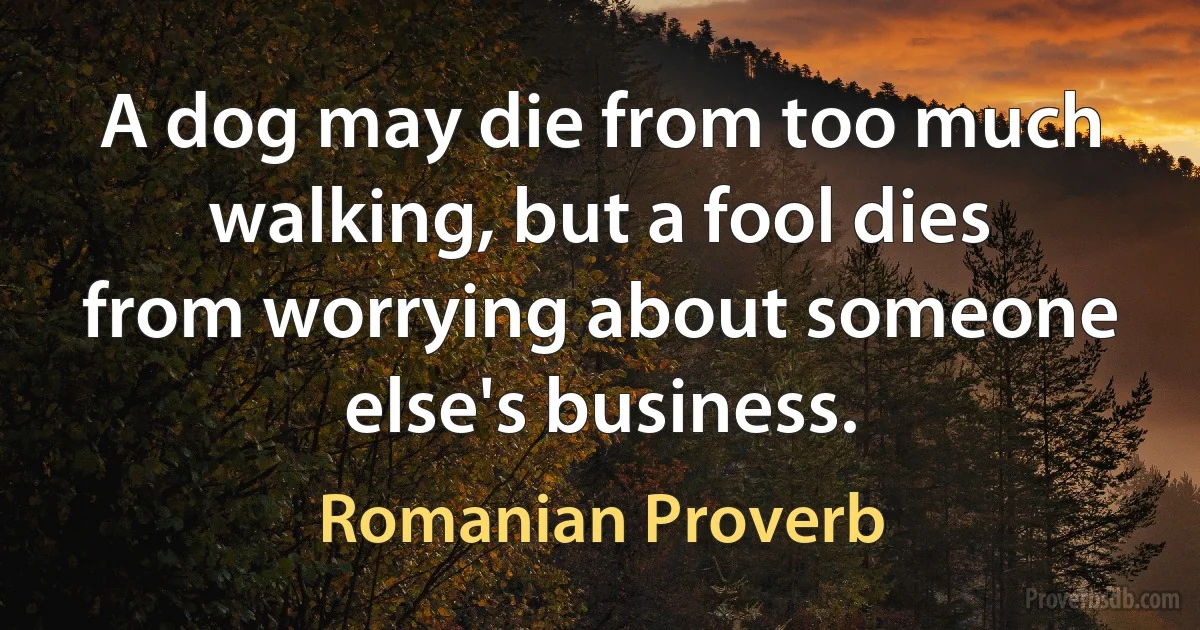 A dog may die from too much walking, but a fool dies from worrying about someone else's business. (Romanian Proverb)