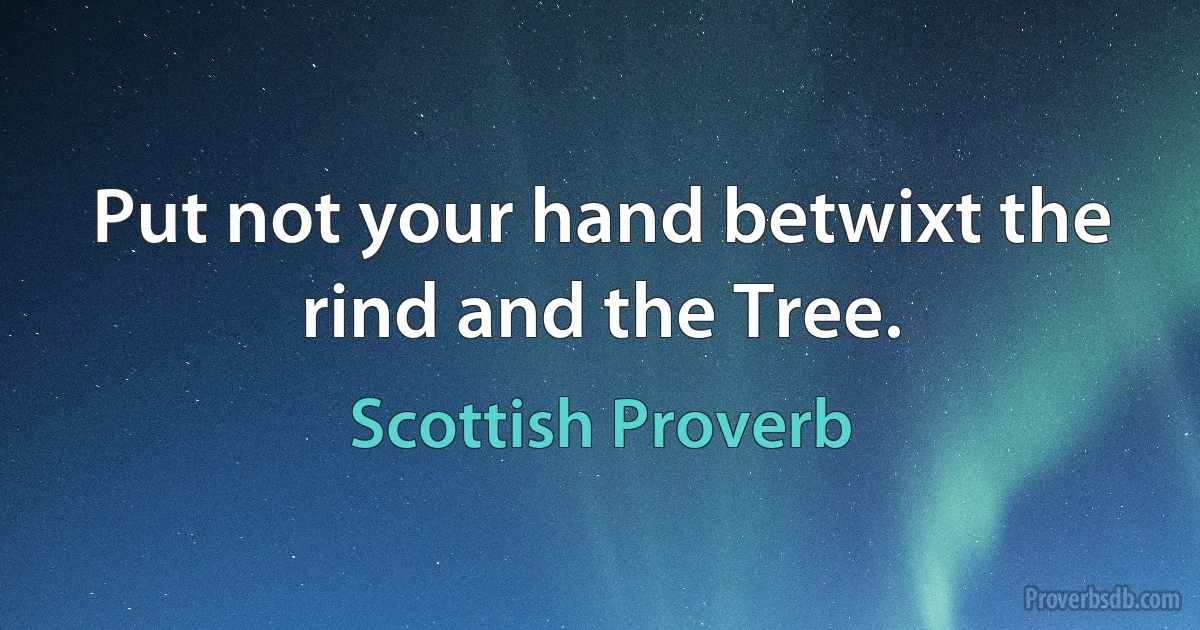 Put not your hand betwixt the rind and the Tree. (Scottish Proverb)