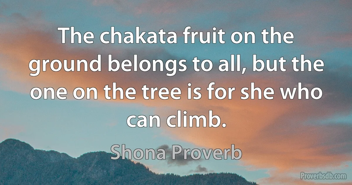 The chakata fruit on the ground belongs to all, but the one on the tree is for she who can climb. (Shona Proverb)