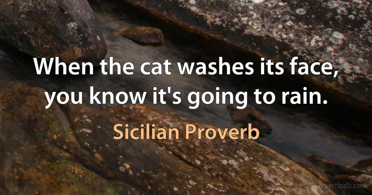 When the cat washes its face, you know it's going to rain. (Sicilian Proverb)