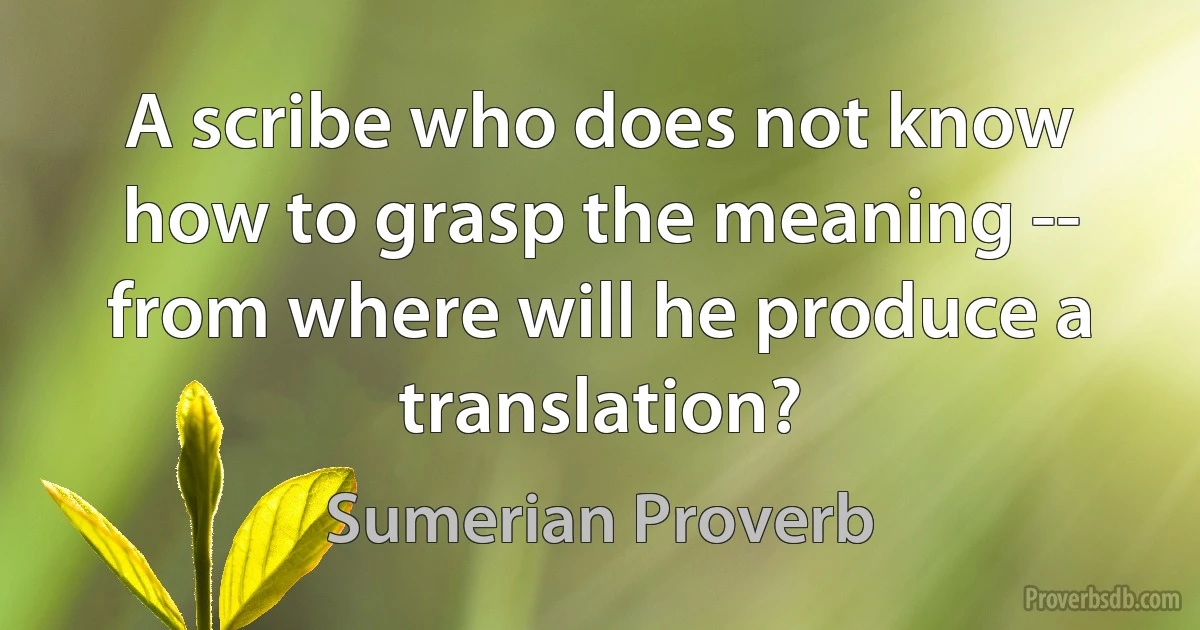 A scribe who does not know how to grasp the meaning -- from where will he produce a translation? (Sumerian Proverb)