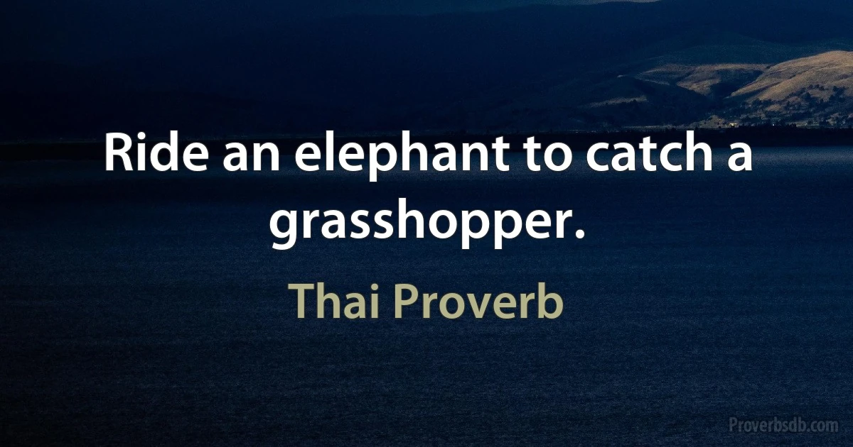 Ride an elephant to catch a grasshopper. (Thai Proverb)