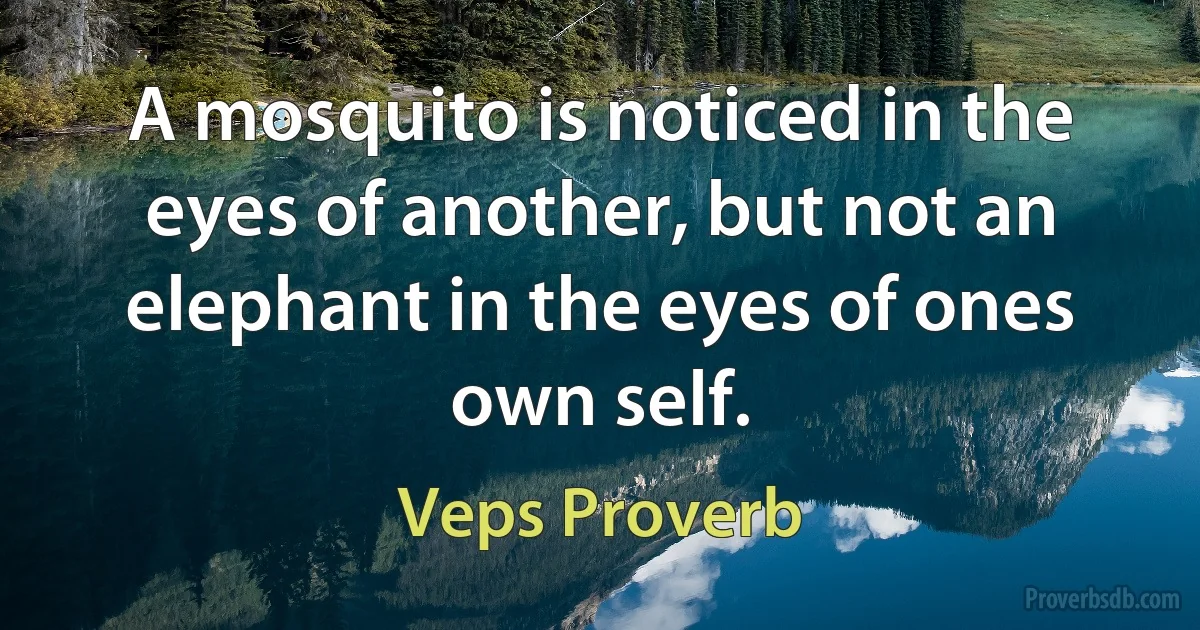 A mosquito is noticed in the eyes of another, but not an elephant in the eyes of ones own self. (Veps Proverb)