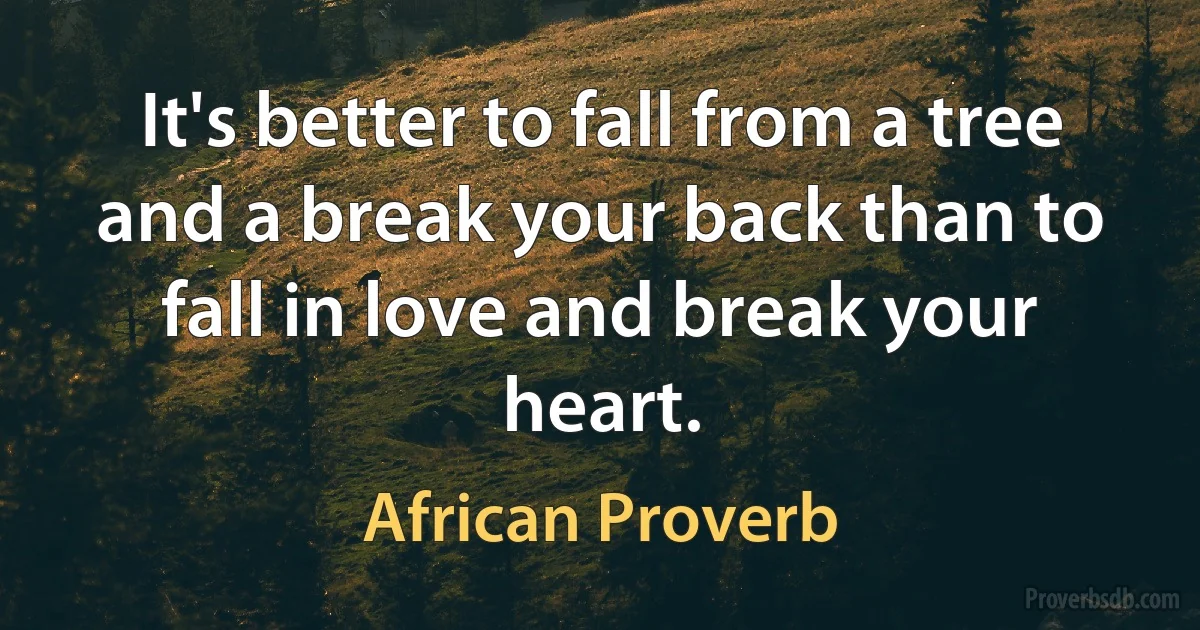 It's better to fall from a tree and a break your back than to fall in love and break your heart. (African Proverb)