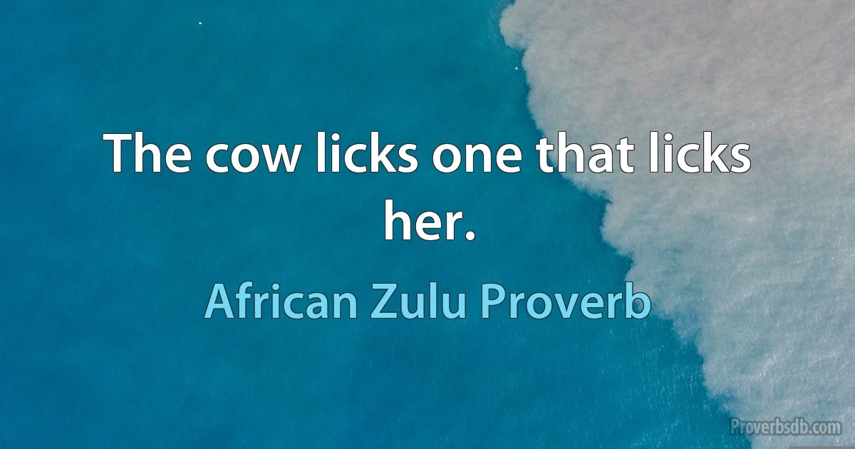 The cow licks one that licks her. (African Zulu Proverb)