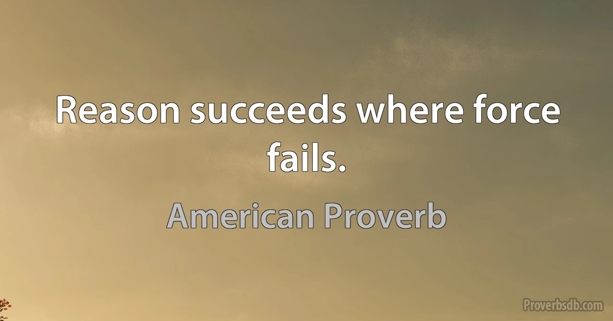 Reason succeeds where force fails. (American Proverb)