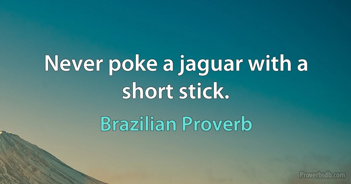 Never poke a jaguar with a short stick. (Brazilian Proverb)