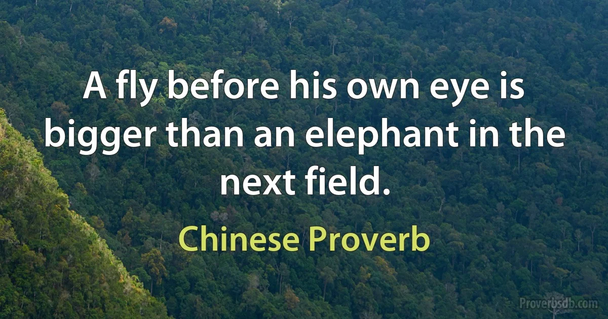 A fly before his own eye is bigger than an elephant in the next field. (Chinese Proverb)