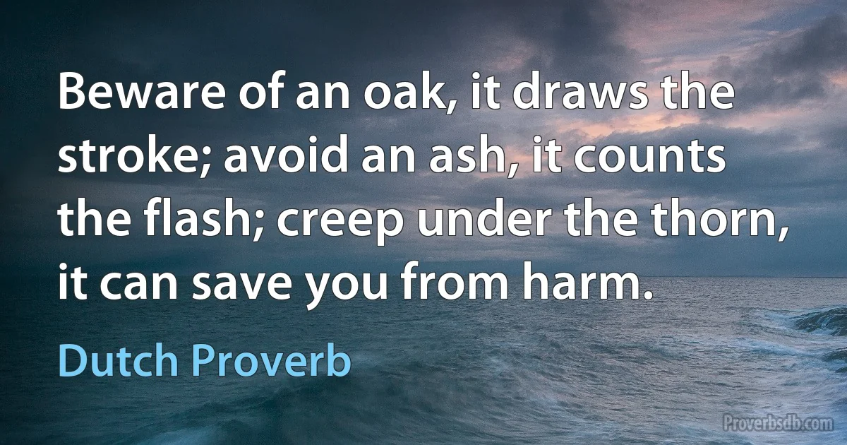 Beware of an oak, it draws the stroke; avoid an ash, it counts the flash; creep under the thorn, it can save you from harm. (Dutch Proverb)