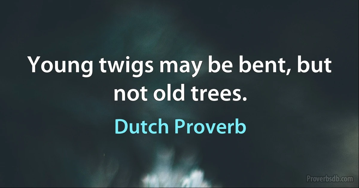 Young twigs may be bent, but not old trees. (Dutch Proverb)