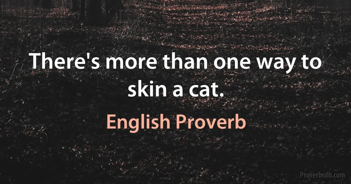 There's more than one way to skin a cat. (English Proverb)