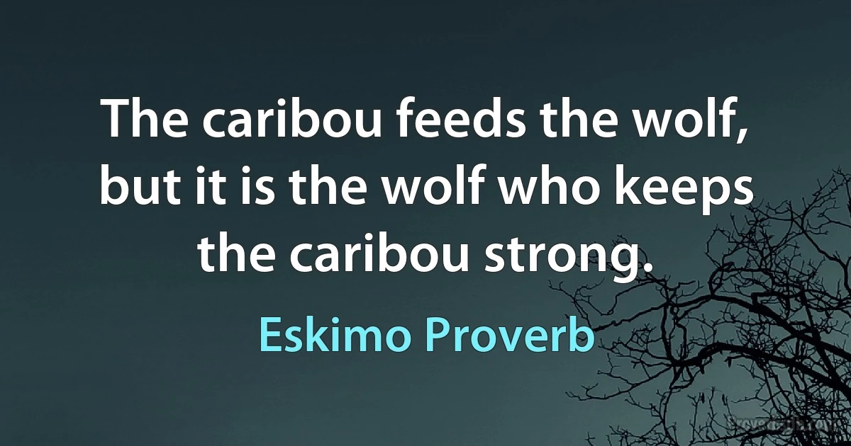 The caribou feeds the wolf, but it is the wolf who keeps the caribou strong. (Eskimo Proverb)