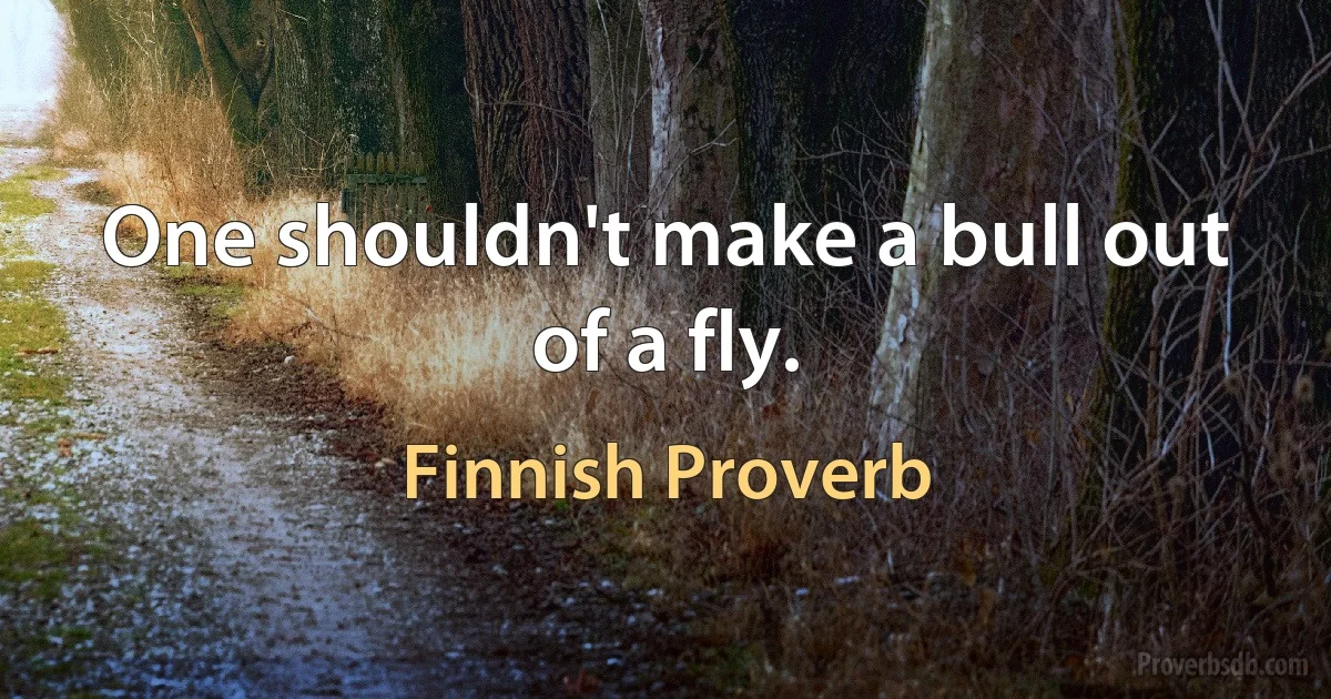 One shouldn't make a bull out of a fly. (Finnish Proverb)